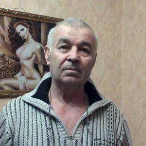 Василий, 72 года, Борисовка