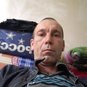 Алексей Таранников, 44 года, Климовск