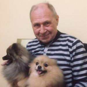Парни в Соликамске: Александр, 67 - ищет девушку из Соликамска