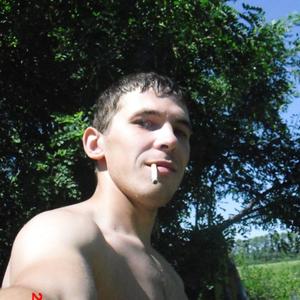 Алексей, 36 лет, Вологда