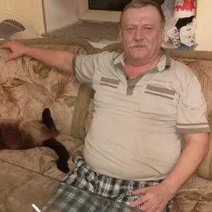 Андрей, 64 года, Калининград