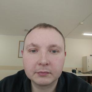Андрей, 36 лет, Домодедово