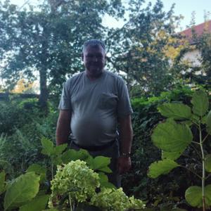 Геннадий, 50 лет, Саратов