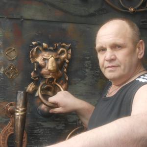 Андрей Гаврилюк, 61 год, Первоуральск