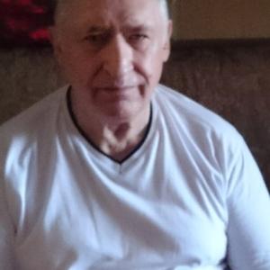Валерий Пичкуров, 78 лет, Мытищи