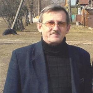 Александр, 71 год, Владимир
