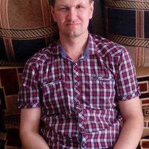 Николай Бачин, 44 года, Заволжье