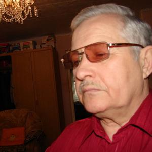 Юрий Голубев, 65 лет, Омск