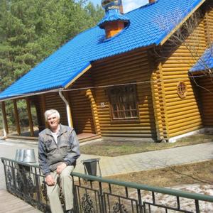 Fyodor Turchin, 70 лет, Челябинск