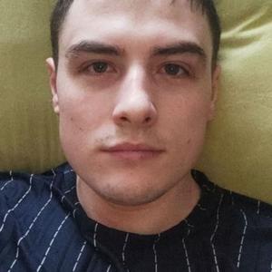 Роман, 29 лет, Богородицк
