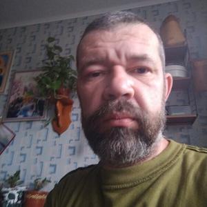 Сергей Сизов, 44 года, Ростов-на-Дону