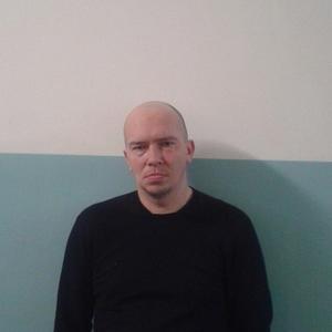 Александр Иванов, 41 год, Думиничи