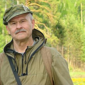 Виктор Чикичев, 76 лет, Саянск