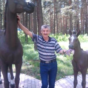 Александр, 64 года, Железногорск