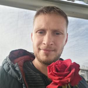 Сергей, 37 лет, Алексин