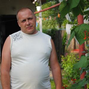 Андрей, 53 года, Родники