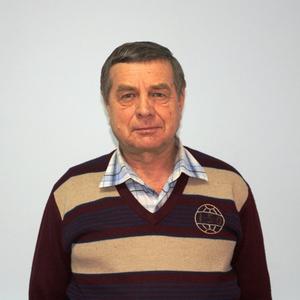 Александр, 70 лет, Ульяновск