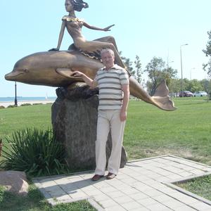 Александр, 66 лет, Иркутск