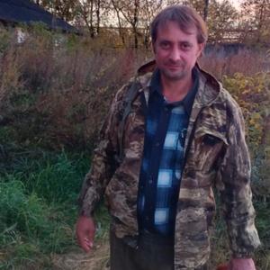 Андрей, 44 года, Александров