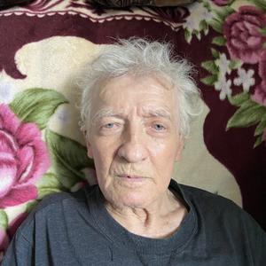 Николай, 83 года, Самара