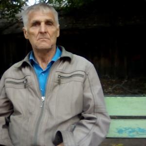 Александр, 66 лет, Иркутск