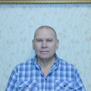 Владимир, 66 лет, Электросталь