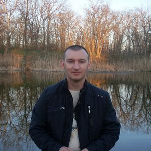 Дмитрий, 44 года, Михайловка