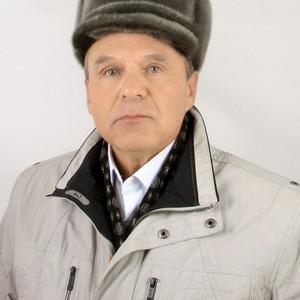 Николай, 66 лет, Челябинск