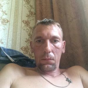 Сергей, 43 года, Озерск