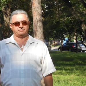 Николай Ащеулов, 70 лет, Солнечный