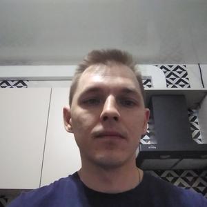 Анатолий, 42 года, Солнечногорск