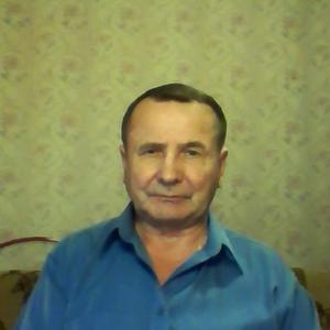 Анатолий Давыдов, 76 лет, Новодвинск