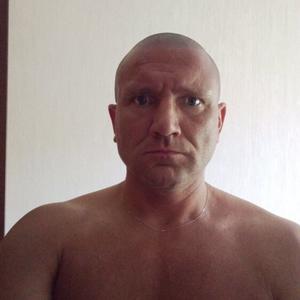 Шрек, 42 года, Пермь