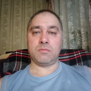 Сергей, 50 лет, Истра
