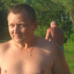 Андрей, 43 года, Кириши