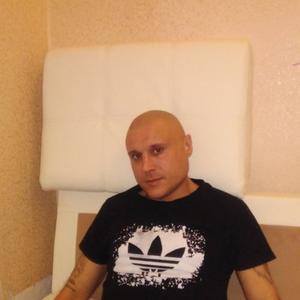 Рома Швырков, 43 года, Тула