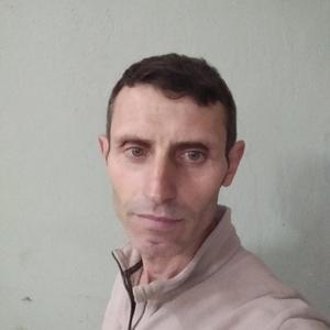 Petr Petrov, 53 года, Орехово-Зуево