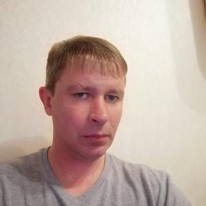 Дмитрий, 39 лет, Дмитров