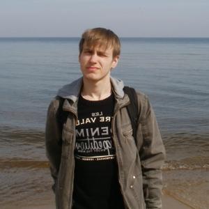 Andrey, 39 лет, Хабаровск
