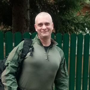 Роман, 46 лет, Павловский Посад