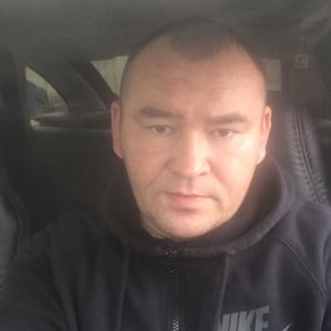 Владимир, 42 года, Краснокамск