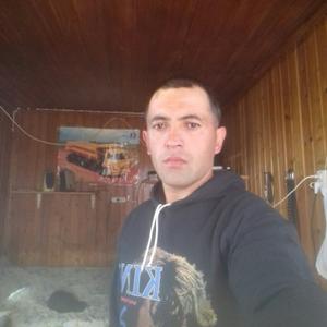 Игор, 34 года, Александров