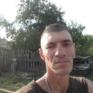 Владимир, 45 лет, Бийск