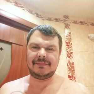 Станислав, 46 лет, Арзамас