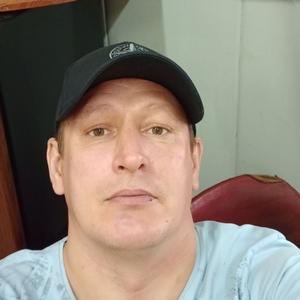Денис, 43 года, Мурманск