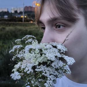 Парни в Томске: Данил, 24 - ищет девушку из Томска