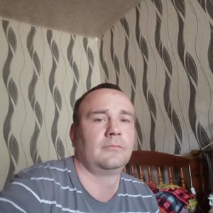 Сергей, 42 года, Электросталь