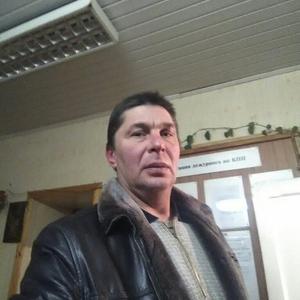 Александр, 54 года, Тверь