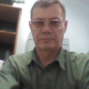 Александр Ахметшин, 62 года, Ангарск