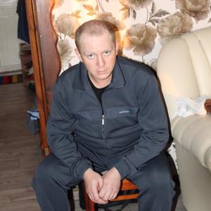 Алексей Степанов, 39 лет, Анжеро-Судженск
